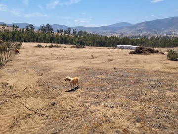 Venta / Terreno / Puchuncaví