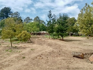 Venta / Terreno / Puchuncaví