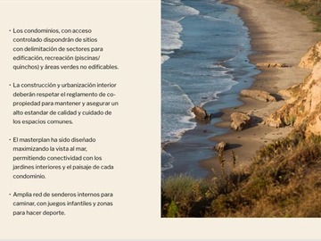 Imagen 6