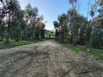 Imagen 4