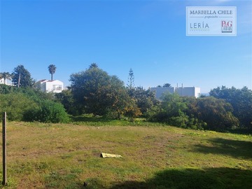 Venta / Terreno / Puchuncaví
