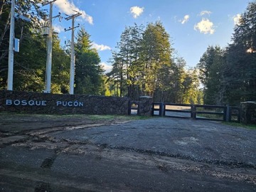 Venta / Terreno / Pucón
