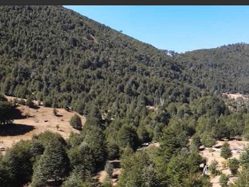 Venta / Terreno / Pucón