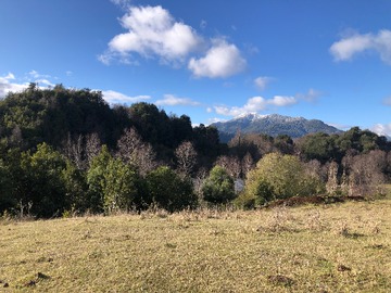 Venta / Terreno / Pucón
