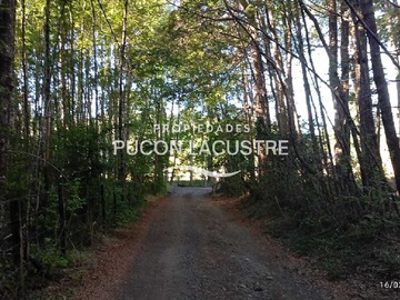 Venta / Terreno / Pucón