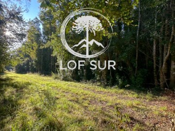 Venta / Terreno / Pucón