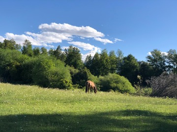 con vista al volcán