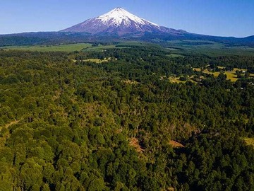 Venta / Terreno / Pucón