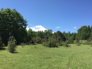 Venta / Terreno / Pucón