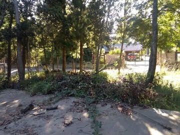 Imagen 5