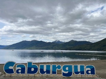 Venta / Terreno / Pucón