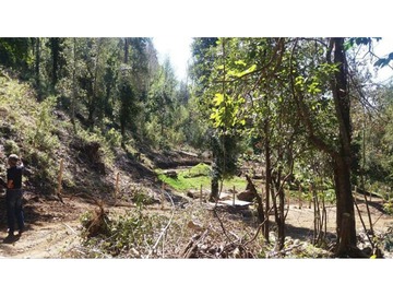 Bellísimas parcelas con bosque,estero y acceso a playa en el rio Liucura!!!