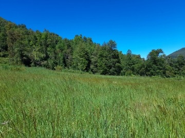 Venta / Terreno / Pucón