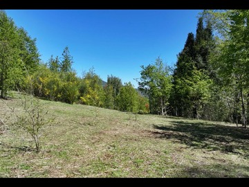 Venta / Terreno / Pucón