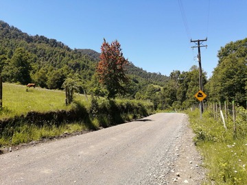 Venta / Terreno / Pucón