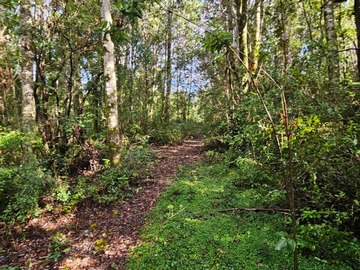 Venta / Terreno / Pucón