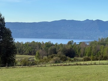 Venta / Terreno / Pucón