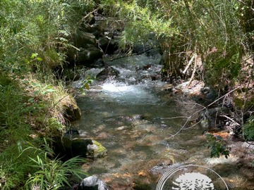 Imagen 8