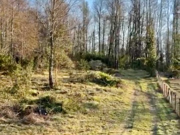 Venta / Terreno / Pucón