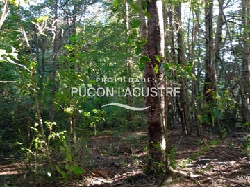 Imagen 10