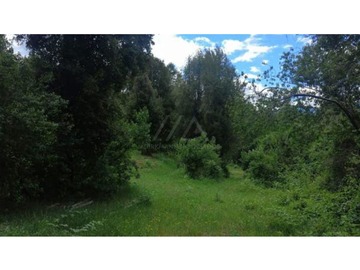 Bellísimas parcelas con bosque,estero y acceso a playa en el rio Liucura!!!