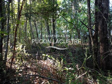Imagen 12