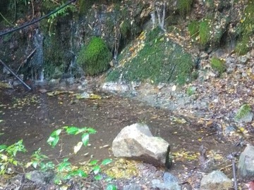 Imagen 6
