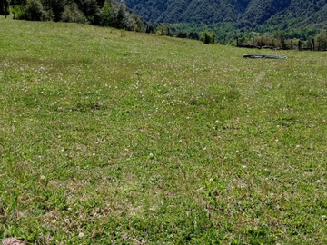 Venta / Terreno / Pucón