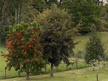 Imagen 20