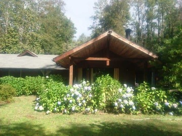 Venta / Terreno / Pucón