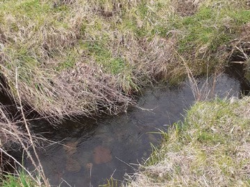 Venta / Terreno / Pucón