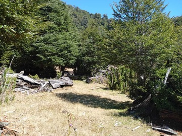 Imagen 14