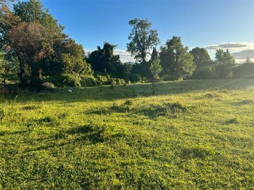 Venta / Terreno / Pucón