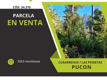 Venta / Terreno / Pucón