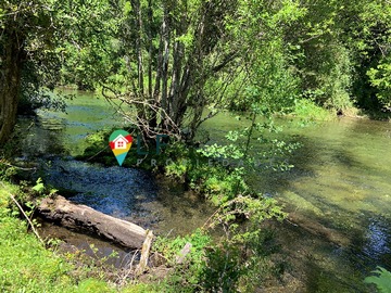 Venta / Terreno / Pucón