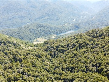 Imagen 9