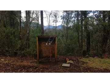 Bellísimas parcelas con bosque,estero y acceso a playa en el rio Liucura!!!