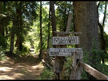 Venta / Terreno / Pucón