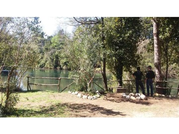 Bellísimas parcelas con bosque,estero y acceso a playa en el rio Liucura!!!