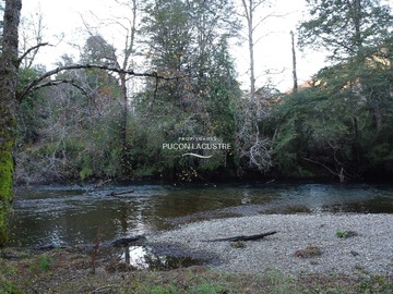 Venta / Terreno / Pucón