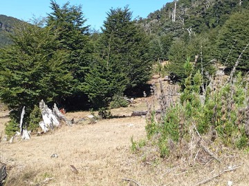 Imagen 17