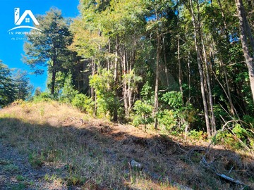 Venta / Terreno / Pucón