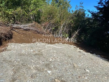 Imagen 11