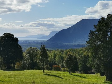 Venta / Terreno / Pucón