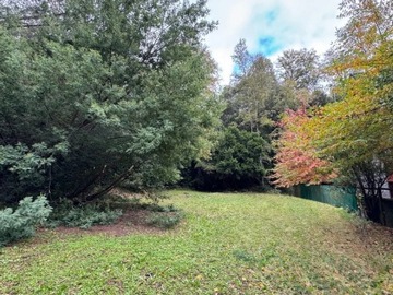 Venta / Terreno / Pucón