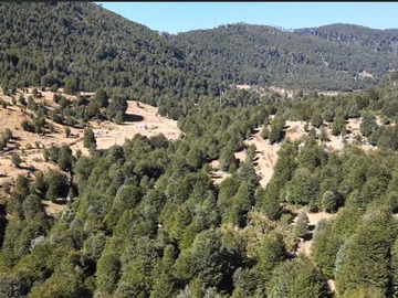 Imagen 8