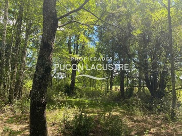 Venta / Terreno / Pucón