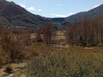 Venta / Terreno / Pucón