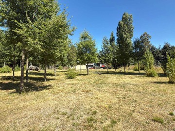 Venta / Terreno / Pucón