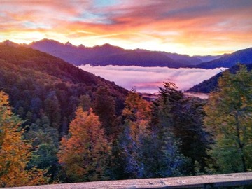 Venta / Terreno / Pucón